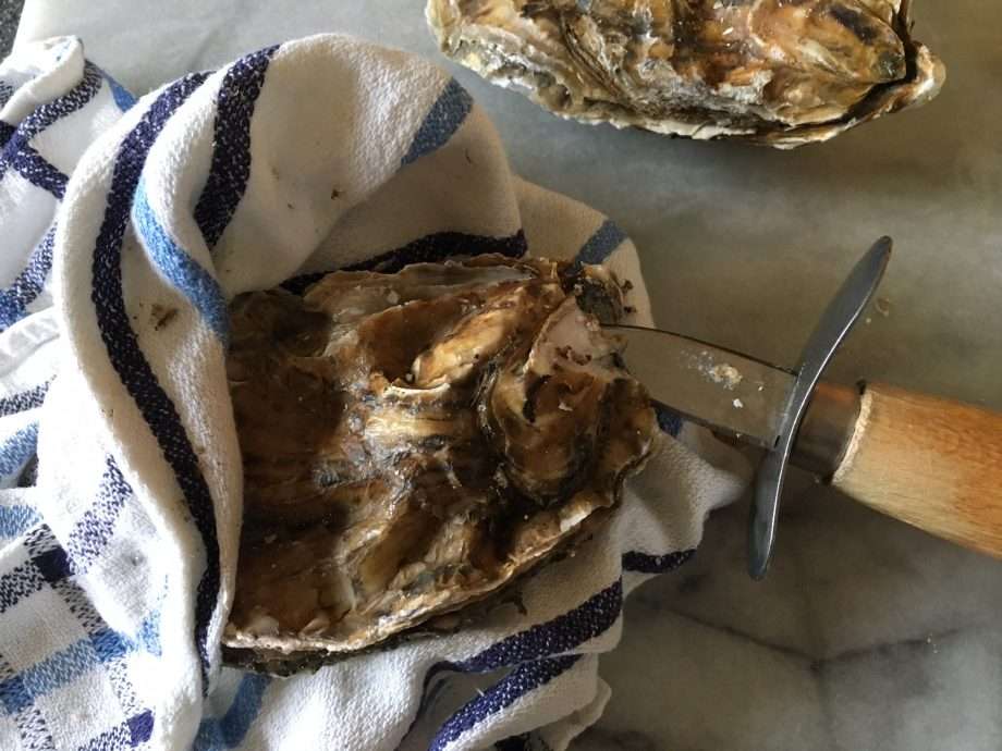 Oyster mayonnaise